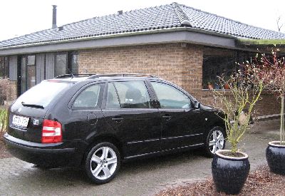 Lones skoda